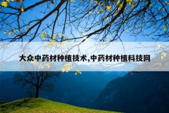 <b>������ҩ����ֲ����,��ҩ����ֲ�Ƽ���</b>