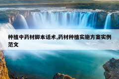 <b>��ֲ��ҩ�Ľű�����,ҩ����ֲʵʩ����ʵ������</b>