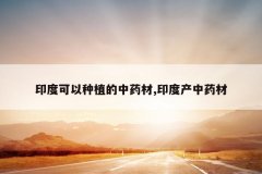 <b>ӡ�ȿ�����ֲ����ҩ��,ӡ�Ȳ���ҩ��</b>