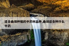 <b>�ʺ�������ֲ����ҩ��Ʒ��,�����ʺ���ʲô��ҩ</b>
