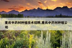 <b>������ҩ����ֲ������Ƹ,������ҩ����ֲ��˾</b>