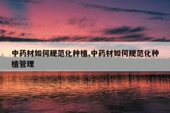 <b>��ҩ����ι淶����ֲ,��ҩ����ι淶����ֲ����</b>