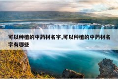 <b>������ֲ����ҩ������,������ֲ����ҩ����������Щ</b>