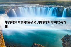 <b>��ҩ��֪ĸ����Щ��Ч,��ҩ��֪ĸ��Ч������</b>
