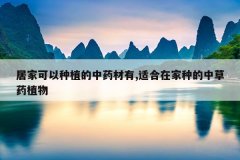 <b>�Ӽҿ�����ֲ����ҩ����,�ʺ��ڼ��ֵ��в�ҩֲ��</b>