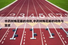 <b>��ҩ��÷���ٵĹ�Ч,��ҩ��÷���ٵĹ�Ч�����</b>