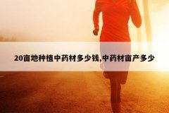 <b>20Ķ����ֲ��ҩ�Ķ���Ǯ,��ҩ��Ķ������</b>
