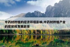 <b>��ҩ����ֲ�ľ��û���Ӱ��,��ҩ����ֲ��ҵ����״�ͷ�չǰ��</b>