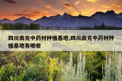 <b>�Ĵ��ϳ���ҩ����ֲ����,�Ĵ��ϳ���ҩ����ֲ��������Щ</b>