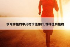 <b>������ֲ����ҩ�ļ�ֵ����,����ֲ��ֲ��</b>