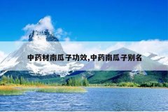 <b>��ҩ���Ϲ��ӹ�Ч,��ҩ�Ϲ��ӱ���</b>