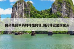 <b>��ҩ������ҩ����ֲ��ַ,��ҩ��ҵ�ǹ���ô</b>