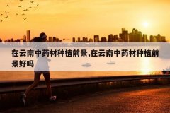 <b>��������ҩ����ֲǰ��,��������ҩ����ֲǰ������</b>