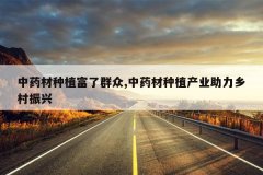 <b>��ҩ����ֲ����Ⱥ��,��ҩ����ֲ��ҵ�����������</b>
