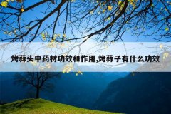 <b>����ͷ��ҩ�Ĺ�Ч������,��������ʲô��Ч</b>