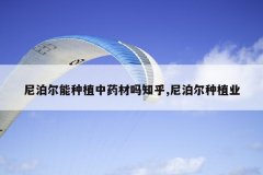 <b>�Ჴ������ֲ��ҩ����֪��,�Ჴ����ֲҵ</b>