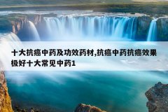 <b>ʮ�󿹰���ҩ����Чҩ��,������ҩ����Ч������ʮ�󳣼���ҩ1</b>