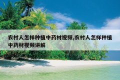 <b>ũ����������ֲ��ҩ����Ƶ,ũ����������ֲ��ҩ����Ƶ����</b>