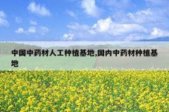 <b>�й���ҩ���˹���ֲ����,������ҩ����ֲ����</b>