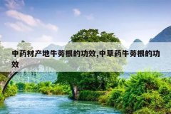 <b>��ҩ�Ĳ���ţ����Ĺ�Ч,�в�ҩţ����Ĺ�Ч</b>