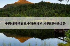<b>��ҩ����ֲ�м�����ɫ����,��ҩ����ֲ����</b>