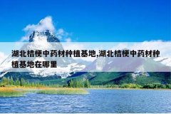 <b>�����۹���ҩ����ֲ����,�����۹���ҩ����ֲ����������</b>