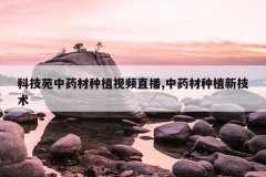 <b>�Ƽ�Է��ҩ����ֲ��Ƶֱ��,��ҩ����ֲ�¼���</b>