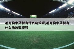 <b>ë������ҩ����ʲô��Ч��,ë������ҩ����ʲô��Ч����Ƶ</b>