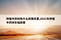 <b>��ֲ��ҩ����ʲô�����Ż�,2021����ֲ��ҩ�Ĳ�������</b>