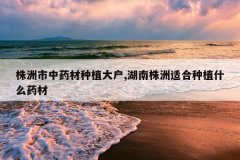 <b>��������ҩ����ֲ��,���������ʺ���ֲʲôҩ��</b>