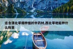<b>�ʺ�μ����ܫ��ֲ����ҩ��,������������ʲô����</b>