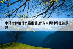 <b>��ҩ����ֲʲô������,ʲô��ҩ����ֲǰ����</b>