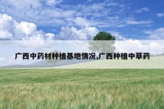 <b>������ҩ����ֲ�������,������ֲ�в�ҩ</b>