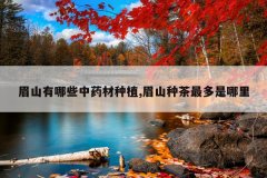 <b>üɽ����Щ��ҩ����ֲ,üɽ�ֲ����������</b>