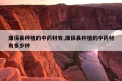 <b>��������ֲ����ҩ����,��������ֲ����ҩ���ж�����</b>