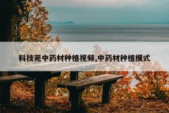<b>�Ƽ�Է��ҩ����ֲ��Ƶ,��ҩ����ֲģʽ</b>