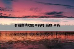 <b>����Ѫ��Ч����ҩ��,��Ѫ ��ҩ</b>