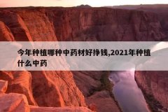 <b>������ֲ������ҩ�ĺ���Ǯ,2021����ֲʲô��ҩ</b>