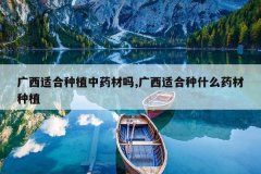 <b>�����ʺ���ֲ��ҩ����,�����ʺ���ʲôҩ����ֲ</b>