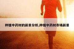 <b>��ֲ��ҩ�ĵ�ǰ������,��ֲ��ҩ���г�ǰ��</b>