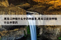 <b>��������ֲʲô��ҩ�����,�������ʺ���ֲʲô�в�ҩ</b>
