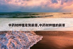 <b>��ҩ����ֲ����ǰ��,��ҩ����ֲ��ǰ��</b>