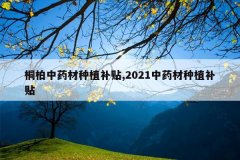 <b>ͩ����ҩ����ֲ����,2021��ҩ����ֲ����</b>