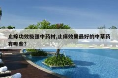 <b>ֹ����Ч��ǿ��ҩ��,ֹ��Ч����õ��в�ҩ����Щ?</b>