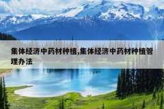 <b>���徭����ҩ����ֲ,���徭����ҩ����ֲ�����취</b>