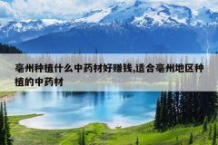 <b>������ֲʲô��ҩ�ĺ�׬Ǯ,�ʺ����ݵ�����ֲ����ҩ��</b>