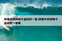 <b>��ֲ��ҩ���ĸ�Ʒ�ֺ�һЩ,��ֲ��ҩ���ĸ�Ʒ�ֺ�һЩ��</b>
