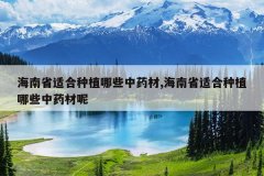 <b>����ʡ�ʺ���ֲ��Щ��ҩ��,����ʡ�ʺ���ֲ��Щ��ҩ����</b>