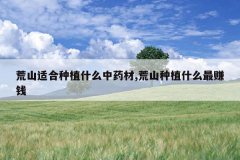 <b>��ɽ�ʺ���ֲʲô��ҩ��,��ɽ��ֲʲô��׬Ǯ</b>