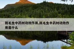 <b>��ë����ҩ�Ĺ�Ч����,��ë����ҩ�Ĺ�Ч������ʲô</b>